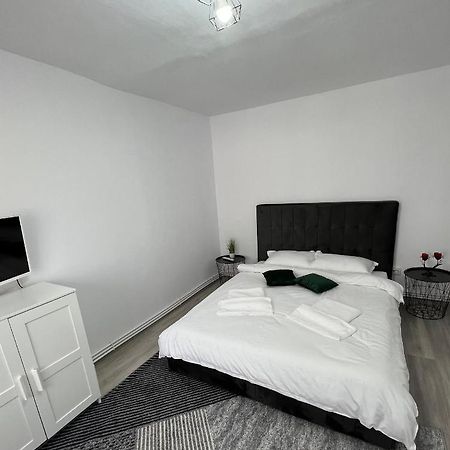 Blue Alpin Straja Apartment Vulcan  Exterior photo