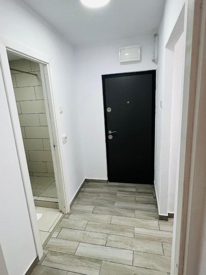 Blue Alpin Straja Apartment Vulcan  Exterior photo