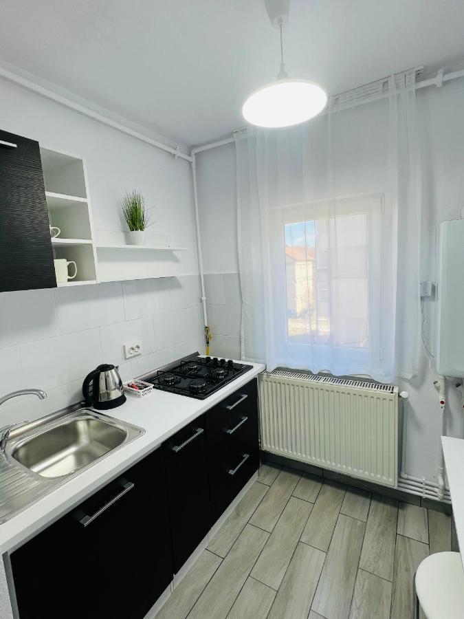 Blue Alpin Straja Apartment Vulcan  Exterior photo