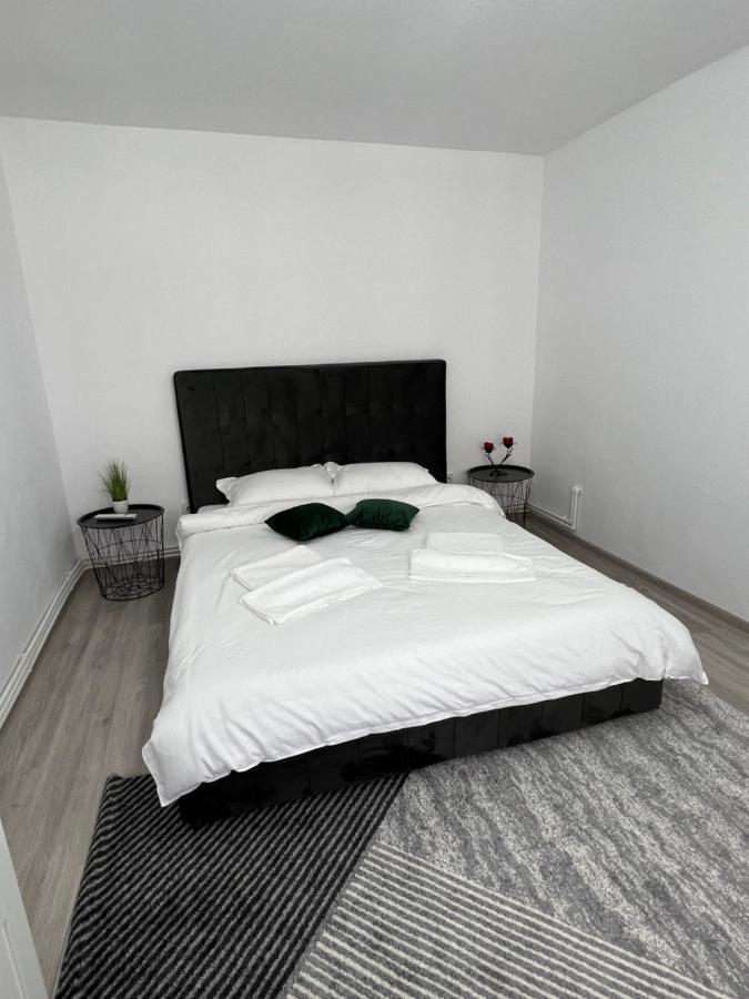 Blue Alpin Straja Apartment Vulcan  Exterior photo