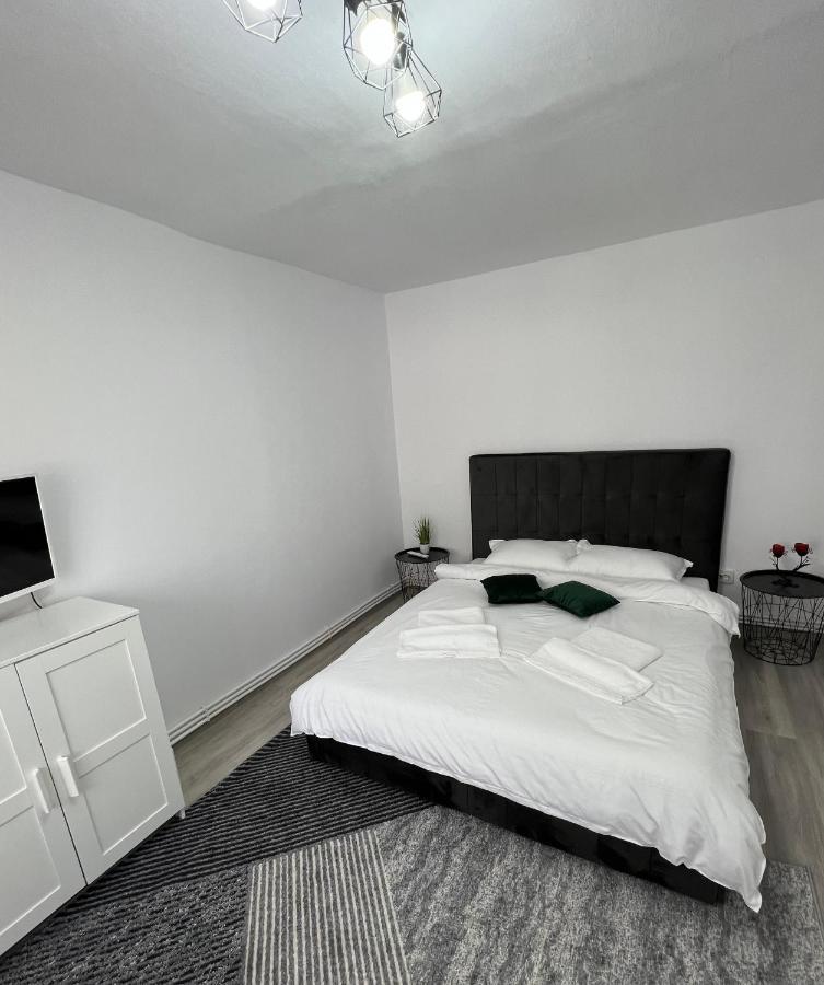 Blue Alpin Straja Apartment Vulcan  Exterior photo